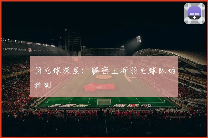 羽毛球深度：解密上海羽毛球队的控制