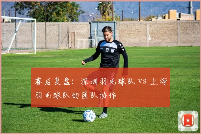 赛后复盘：深圳羽毛球队 vs 上海羽毛球队的团队协作