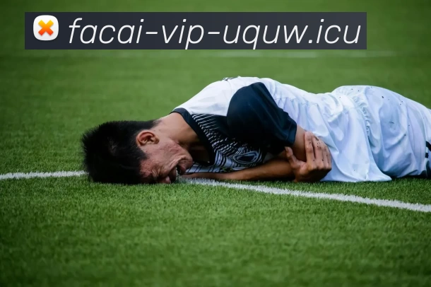 数据防护可视化